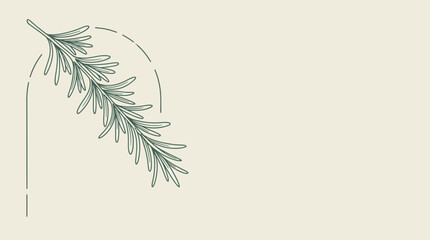 Obraz premium Rosemary sprig, minimalist line art, isolated on transparent background