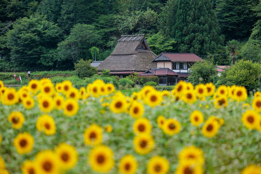 美山かやぶきの里