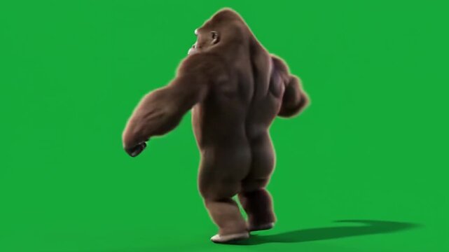 A funny 3D animated brown gorilla or bigfoot character dancing cheerfully from behind, isolated on a chroma key green screen background. Perfect for humor videos, memes, VFX composition.