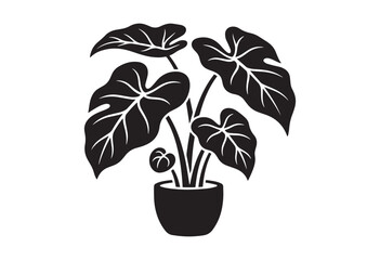 Fototapeta premium Minimalist black silhouette of an alocasia houseplant in potted. Elephant ear plant silhouette.