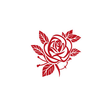 red rose flower