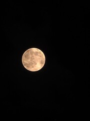 Obraz premium full moon in the night sky