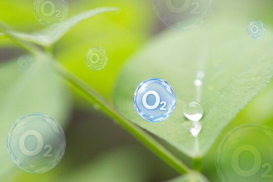 Oxygen (O₂) is the breath of life. Every cell in our body needs it to turn food into energy. Protect our forests and air, because every breath matters.