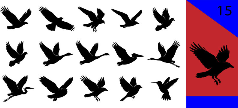 Black flying bird silhouette icons set eagle hawk pigeon crow goose swan pelican crane heron raven sparrow hummingbird editable vector