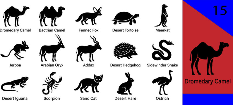 Black desert silhouette icons set camel fennec fox tortoise meerkat oryx hedgehog snake iguana scorpion cat hare ostrich editable vector