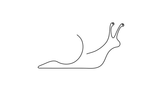 Continuous One Line Drawing of Snail with Spiral Shell, Minimalist Linear Outline Animation on White Background