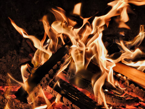 Night photo of bonfire. Closeup photography of flame of burning wood on black background.
