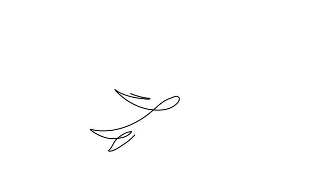 Continuous One Line Drawing of Flying Bird, Minimalist Linear Outline Dove Animation on White Background
