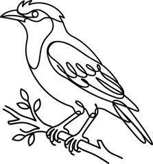 Obraz premium Myna bird outline sitting on a tree twig clean black linear design element modern abstract stencil cutout vector on white background canvas
