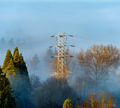 High voltage tower in dense morning fog and trees.