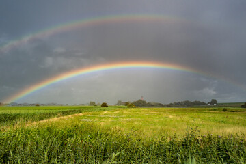 Obraz premium Rainbow landscape brightens green meadow. Wide rainbow landscape follows storm clouds. Rainbow landscape inspires scenic countryside. Vivid rainbow landscape enriches nature photography.
