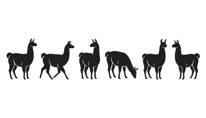 Fototapeta premium black color silhouette set of six llama vector illustration, solid white background