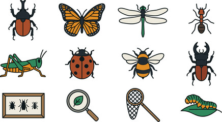 Obraz premium Colorful insect icons set featuring butterfly, beetle, bee, dragonfly, grasshopper, and entomology equipment for nature and biology vector design