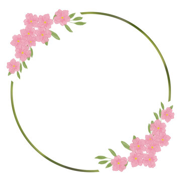 pink cherry blossom border