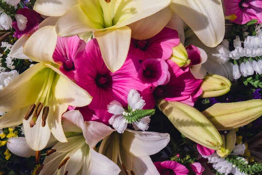 White blooming lilies surrounded by vivid pink flowers, unopened lily buds and delicate filler blossoms create lush floral bouquet. Close-up composition highlights fresh petals, natural textures, and