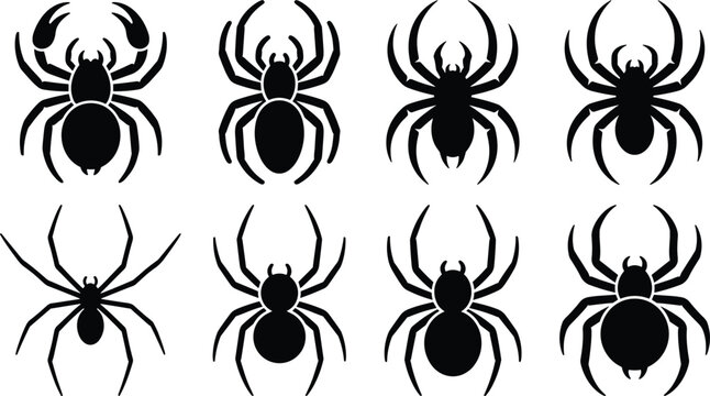 Spider silhouette icons vector set featuring various species of tarantulas arachnids and creepy insects for spooky halloween decorative designs
