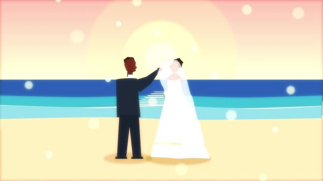 Wedding animation bride groom beach sunset love romance couple happy