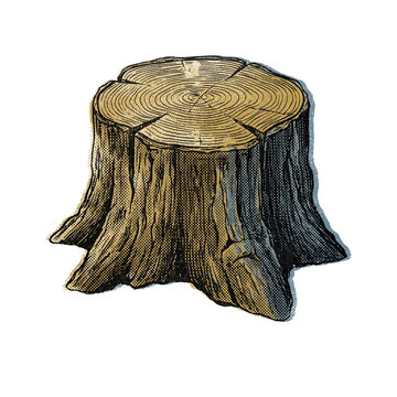 Vintage Tree Stump Illustration with Wood Grain Texture