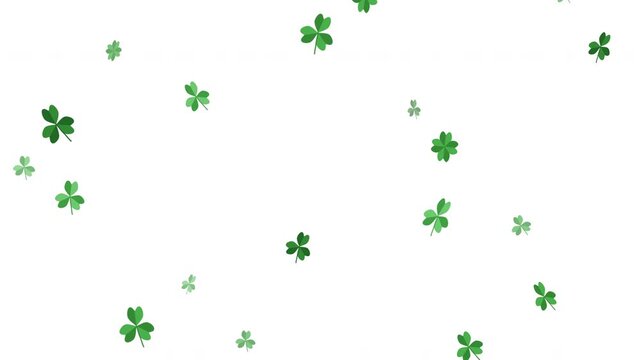 St. patrick day clover animation loop falling shamrock leaves motion