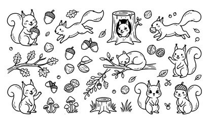 Fototapeta premium Squirrel Doodle Hand Drawn Clipart Set – Woodland Animal Sketch Vector Collection