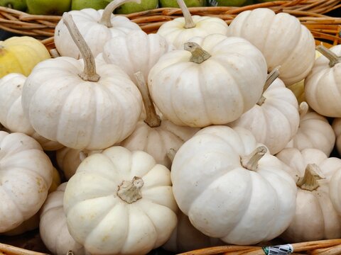 calabazas halloween