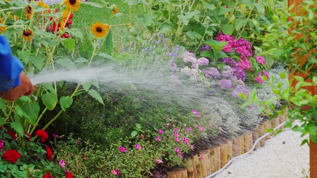 Water jet sprays garden lawn and colorful flower border