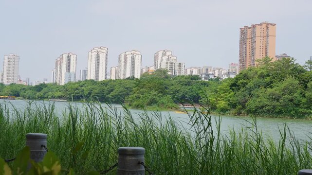 Nanning Nanhu Park lakeside bollards and skyline of high-rise buildings