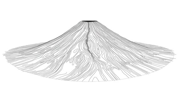 vector illustration of a palm tree