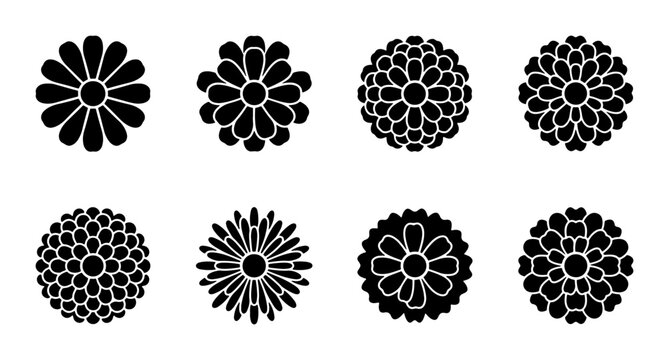 Flower icons set with aster, chrysanthemum, daisy and zinnia shapes for nature and floral design