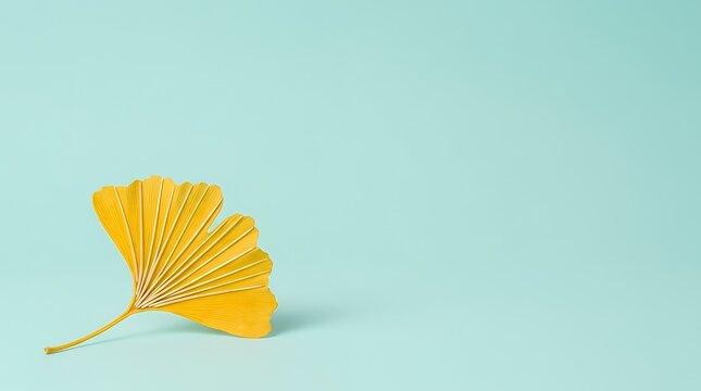 扇子のように折り畳まれた黄金色のイチョウの葉