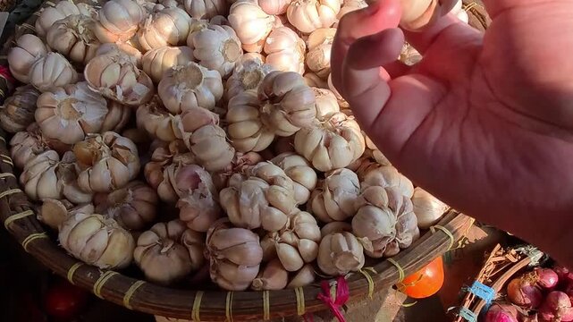 First - person Video of Hand selects garlic from a woven basket. Baskets hold fresh, white-skinned bulbs. Sunlight bathes the market stall. Market scene suggests local freshness. Garlic displays