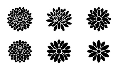 Obraz premium Chrysanthemum flower icons, solid glyph, logo