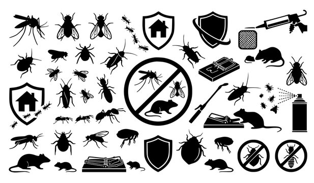 Pest control icon set featuring extermination tools, sprays, traps, rodents, mosquitoes, cockroaches, bedbugs, and ants