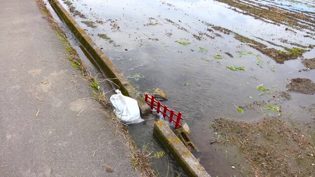 Water Flowing from Irrigation Canal into Rice Paddy Field in Rural Japan