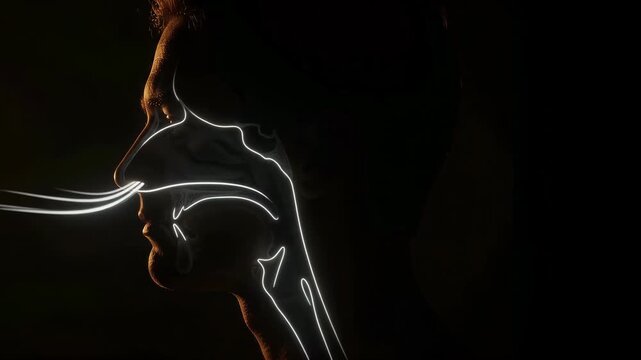 Dramatic side profile silhouette of a man with orange rim lighting in a dark setting.