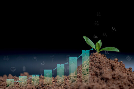 Sustainable agriculture concept showing a young plant growing from soil with rising data charts and CO2 emissions, representing climate technology
