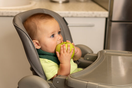 Baby Boy Bites Green Apple In Kitchen High Chair