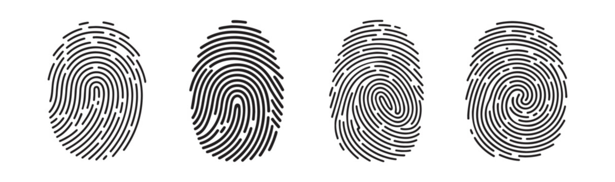 Natural human fingerprint texture set with unique organic line flows for biometric identification.