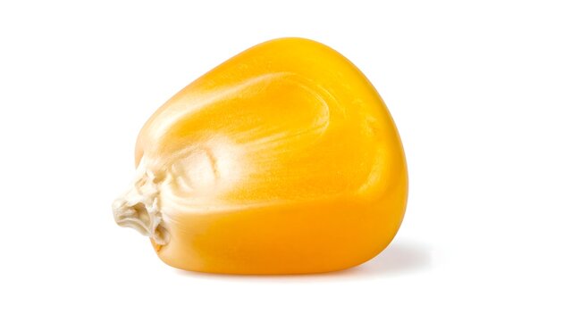 Grano de ma&iacute;z amarillo aislado sobre fondo blanco