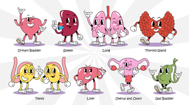 Human internal organ anatomy retro 1930s style rubber hose cartoon characters set for medical design, featuring urinary bladder, spleen, lung, thyroid gland, testis, liver, uterus and ovary