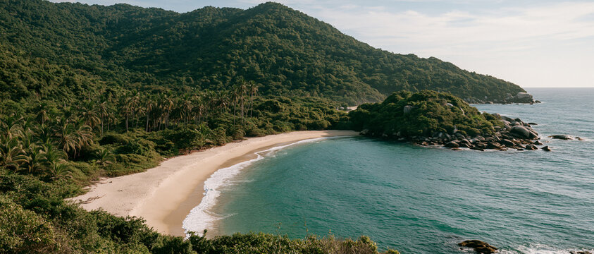 Scenic Coastal Beach Landscape with Green Forest and Blue Ocean