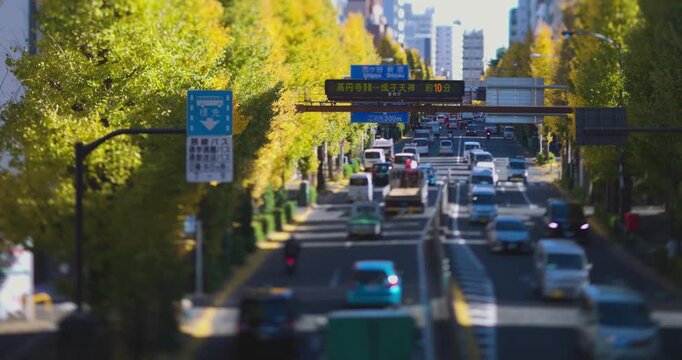 A cityscape of miniature traffic jam at the yellow gingko street in Tokyo in autumn