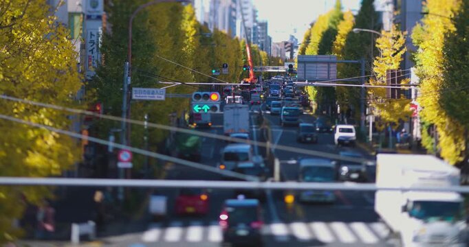 A cityscape of miniature traffic jam at the yellow gingko street in Tokyo in autumn