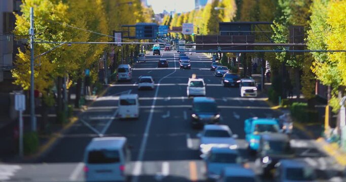 A cityscape of miniature traffic jam at the yellow gingko street in Tokyo in autumn
