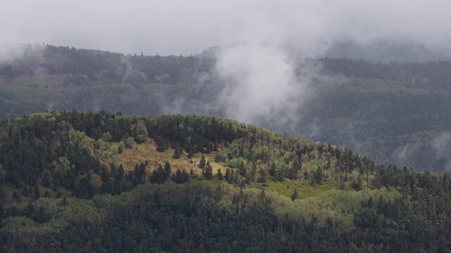 Aerial of misty forested mountainside and low hanging clouds rolling through the dense coniferous and deciduous trees in Carson National Forest in Taos County New Mexico