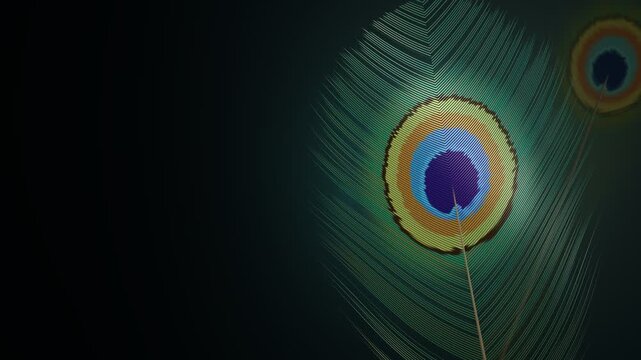 Peacock Feather Eye Iridescent Sway Seamless Loop