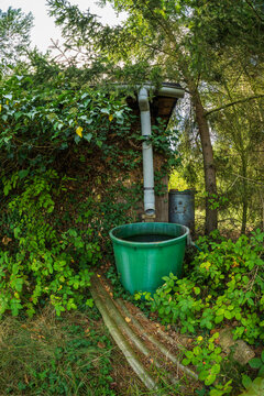 Eine Regentonne in einem verwilderten Garten