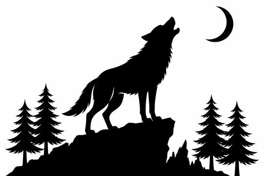 wolf in the snow