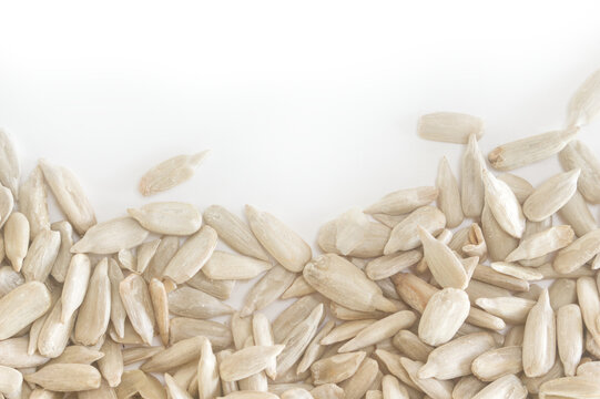 Sunflower seed kernels border on white background with blank space above