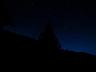 Fototapeta premium Starry night sky with the silhouette of a pine tree and a dark mountain